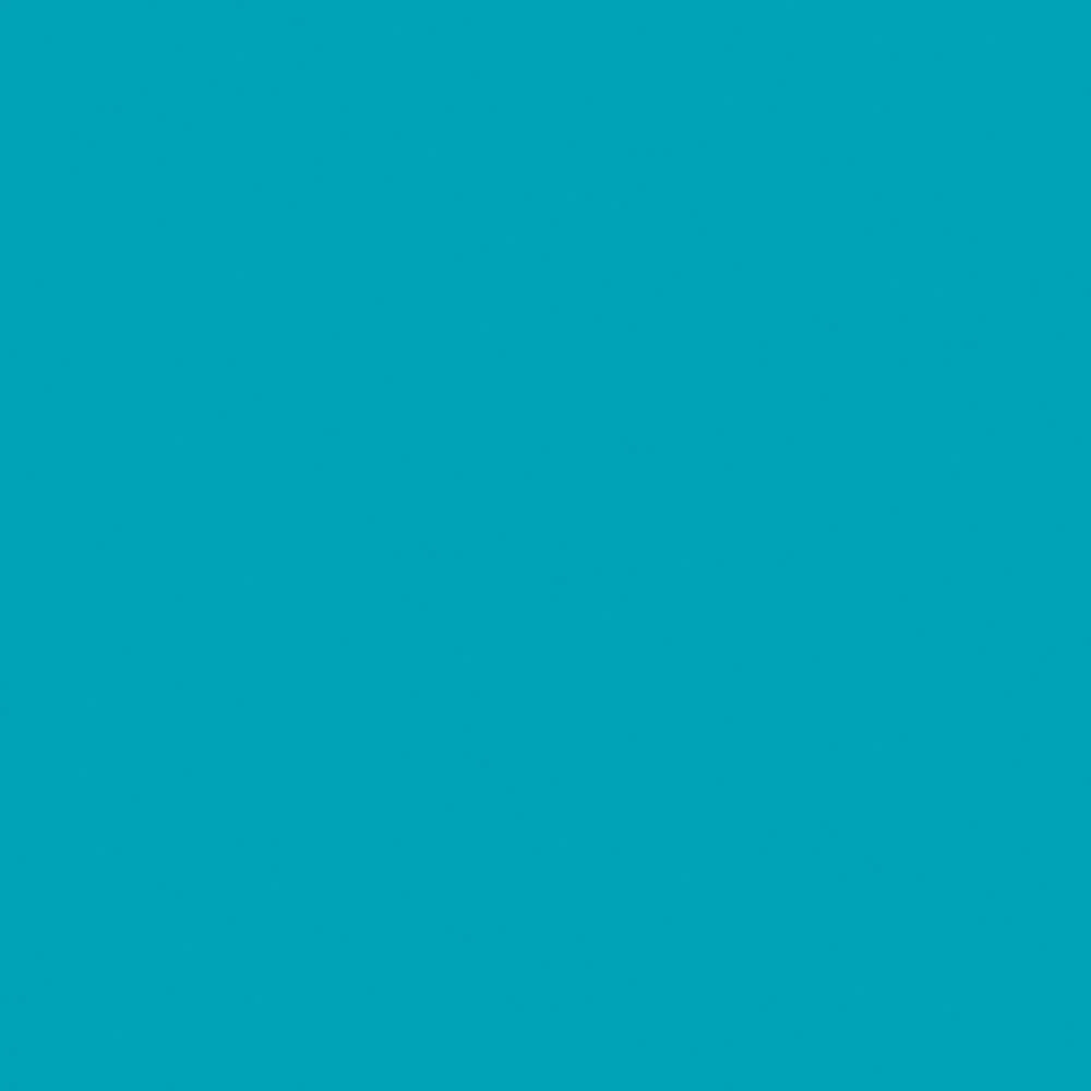 Turkuaz Evogloss — Evogloss